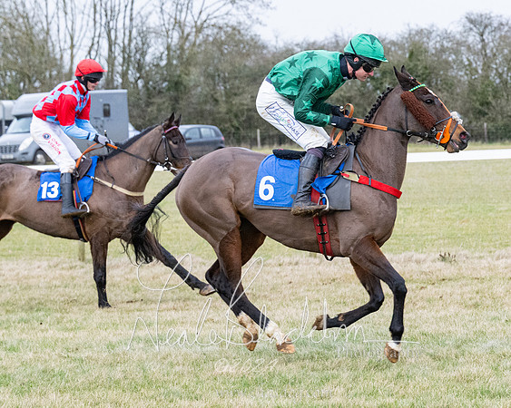 Race 7 - 7 and over Maiden (16 of 205)