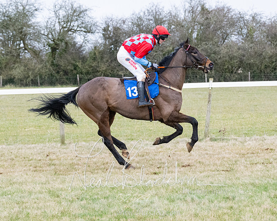 Race 7 - 7 and over Maiden (17 of 205)