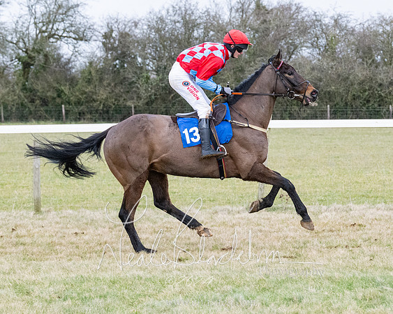 Race 7 - 7 and over Maiden (18 of 205)