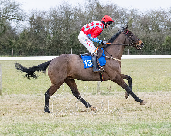Race 7 - 7 and over Maiden (19 of 205)