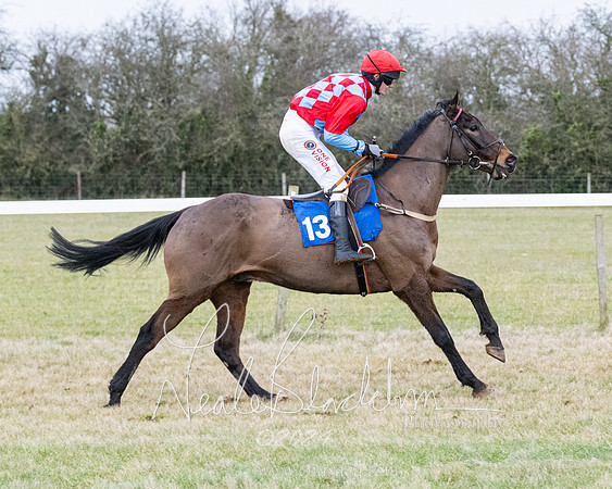 Race 7 - 7 and over Maiden (20 of 205)