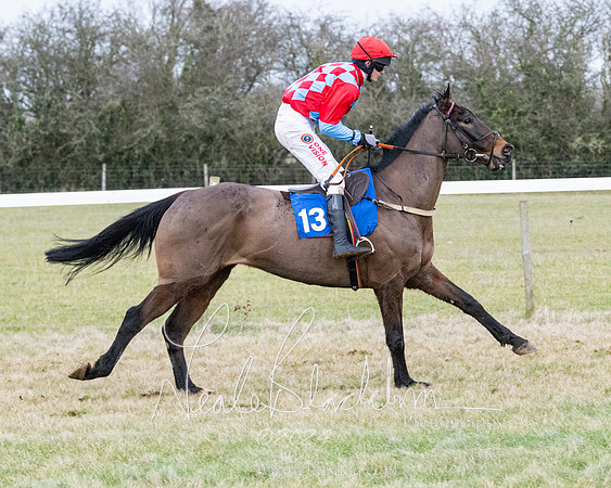 Race 7 - 7 and over Maiden (21 of 205)
