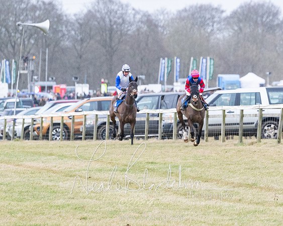 Race 7 - 7 and over Maiden (22 of 205)