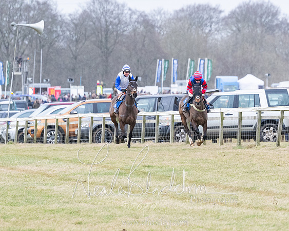 Race 7 - 7 and over Maiden (23 of 205)