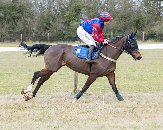 Race 7 - 7 and over Maiden (24 of 205)