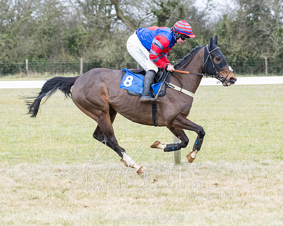 Race 7 - 7 and over Maiden (25 of 205)