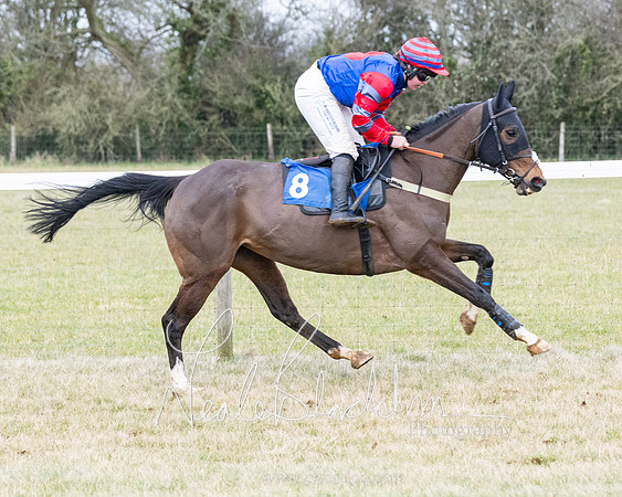Race 7 - 7 and over Maiden (26 of 205)