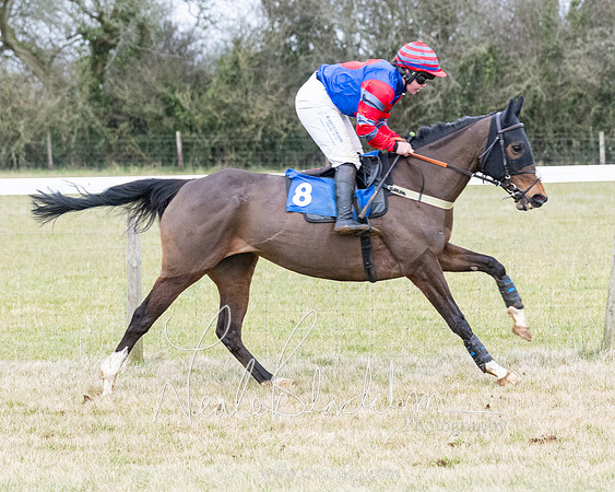 Race 7 - 7 and over Maiden (27 of 205)