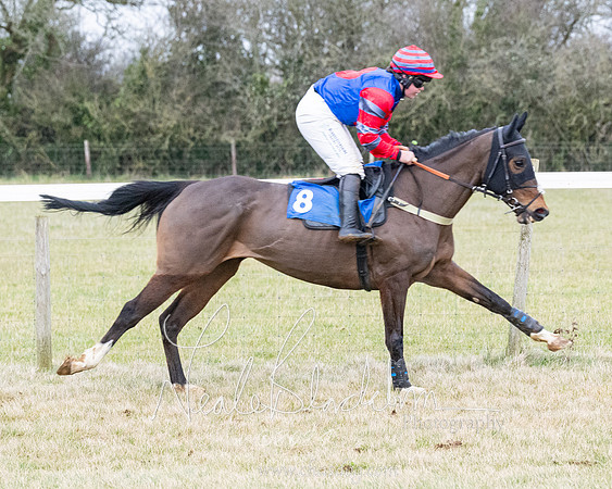 Race 7 - 7 and over Maiden (28 of 205)