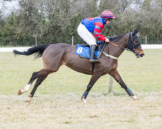 Race 7 - 7 and over Maiden (29 of 205)