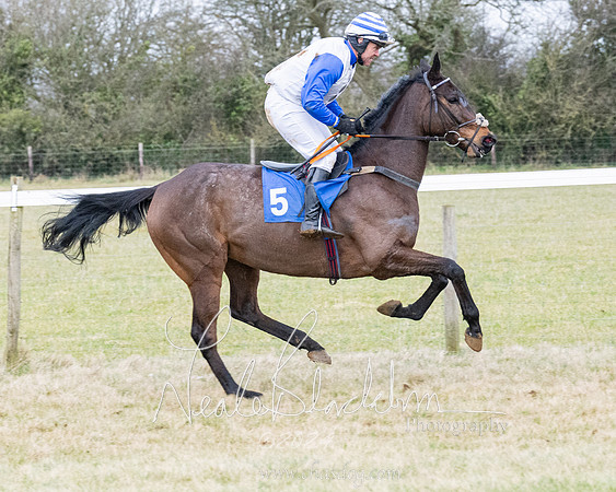 Race 7 - 7 and over Maiden (30 of 205)