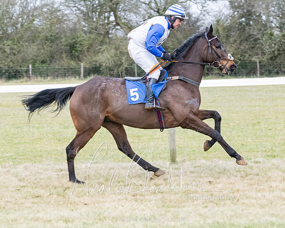 Race 7 - 7 and over Maiden (31 of 205)