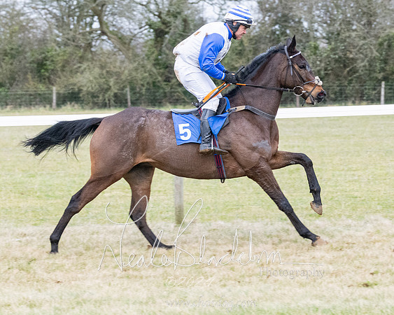 Race 7 - 7 and over Maiden (32 of 205)