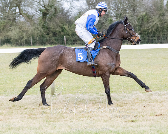 Race 7 - 7 and over Maiden (33 of 205)