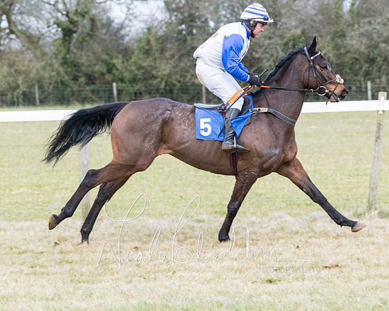 Race 7 - 7 and over Maiden (34 of 205)