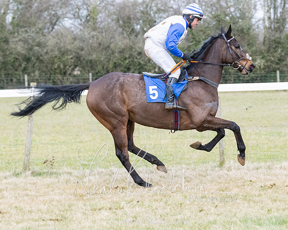 Race 7 - 7 and over Maiden (35 of 205)