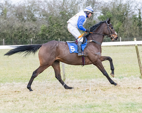 Race 7 - 7 and over Maiden (36 of 205)