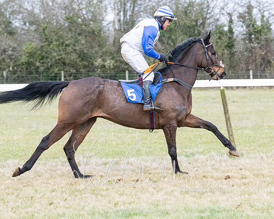 Race 7 - 7 and over Maiden (37 of 205)