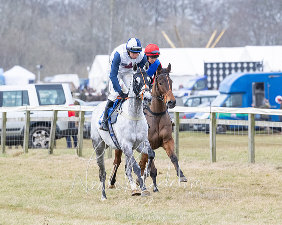 Race 7 - 7 and over Maiden (40 of 205)