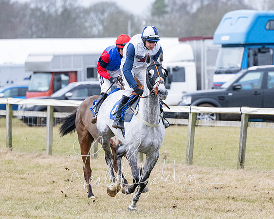 Race 7 - 7 and over Maiden (41 of 205)