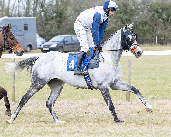 Race 7 - 7 and over Maiden (46 of 205)