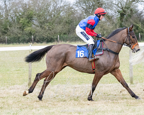 Race 7 - 7 and over Maiden (49 of 205)