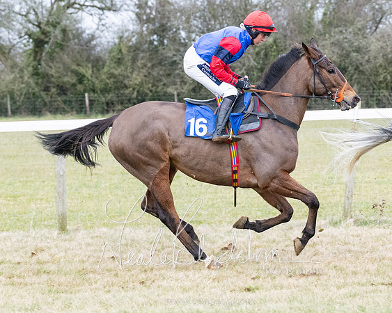 Race 7 - 7 and over Maiden (50 of 205)