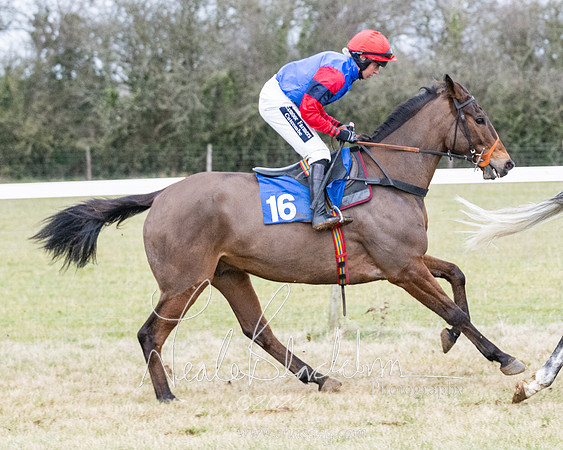 Race 7 - 7 and over Maiden (51 of 205)