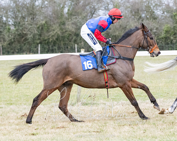 Race 7 - 7 and over Maiden (52 of 205)