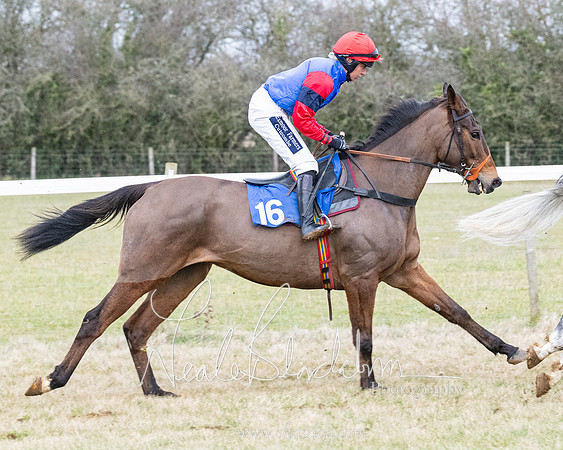 Race 7 - 7 and over Maiden (53 of 205)