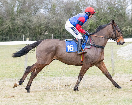 Race 7 - 7 and over Maiden (54 of 205)