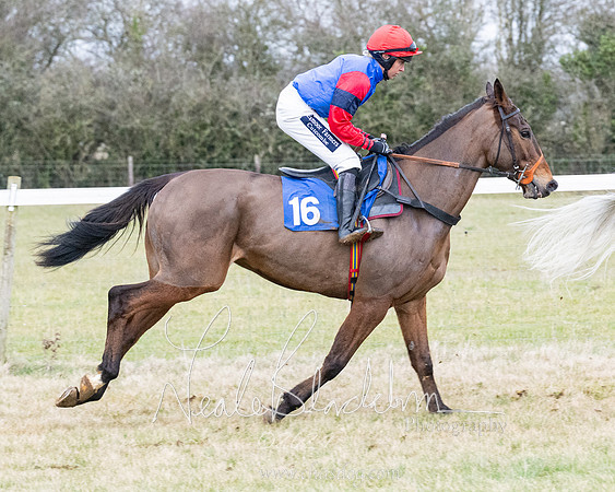 Race 7 - 7 and over Maiden (55 of 205)