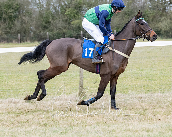 Race 7 - 7 and over Maiden (56 of 205)