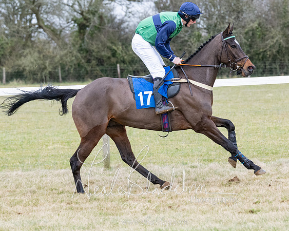 Race 7 - 7 and over Maiden (57 of 205)