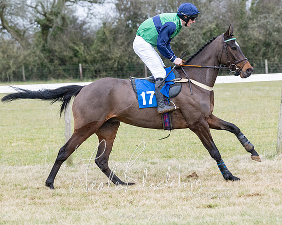 Race 7 - 7 and over Maiden (58 of 205)