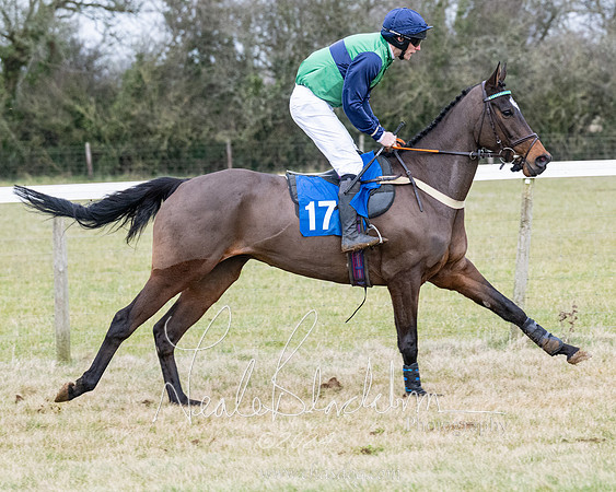 Race 7 - 7 and over Maiden (59 of 205)