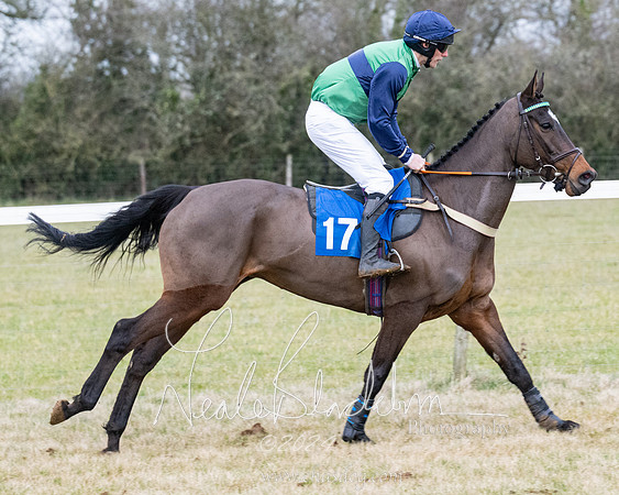 Race 7 - 7 and over Maiden (60 of 205)