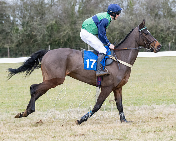 Race 7 - 7 and over Maiden (61 of 205)