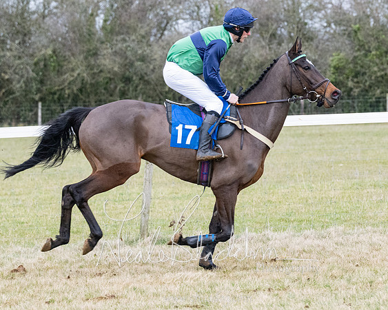 Race 7 - 7 and over Maiden (62 of 205)