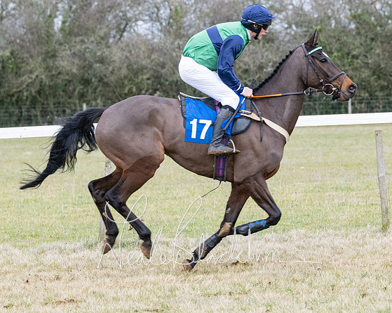 Race 7 - 7 and over Maiden (63 of 205)