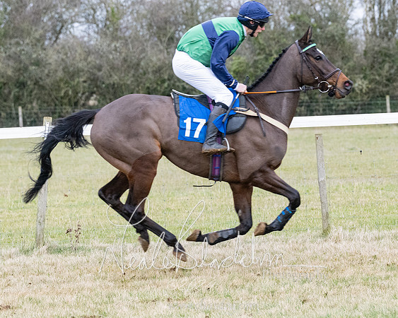 Race 7 - 7 and over Maiden (64 of 205)