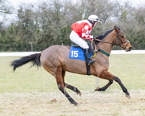 Race 7 - 7 and over Maiden (65 of 205)