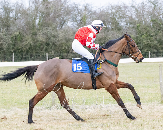 Race 7 - 7 and over Maiden (66 of 205)