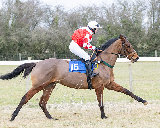 Race 7 - 7 and over Maiden (67 of 205)