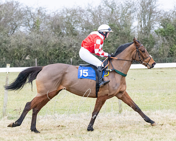 Race 7 - 7 and over Maiden (68 of 205)