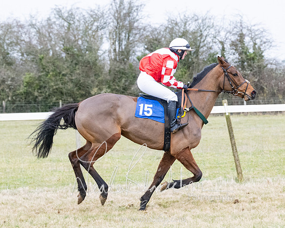 Race 7 - 7 and over Maiden (69 of 205)