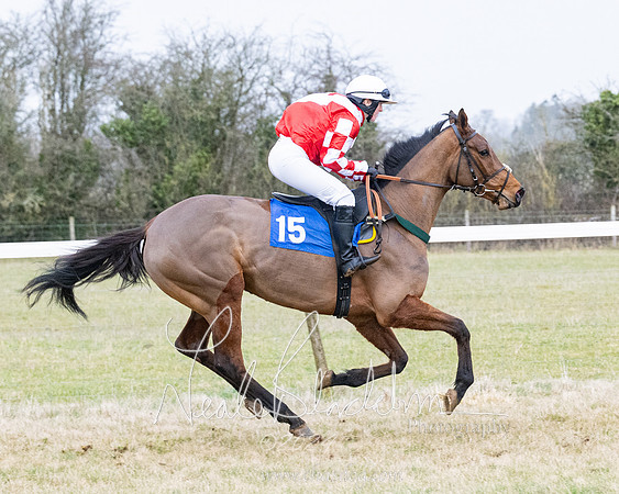 Race 7 - 7 and over Maiden (70 of 205)