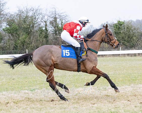 Race 7 - 7 and over Maiden (71 of 205)