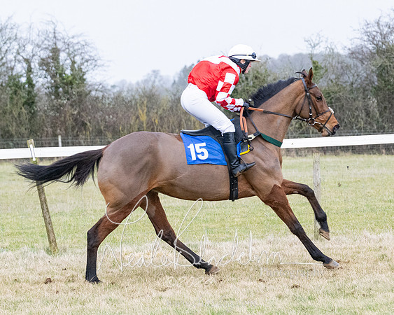 Race 7 - 7 and over Maiden (72 of 205)