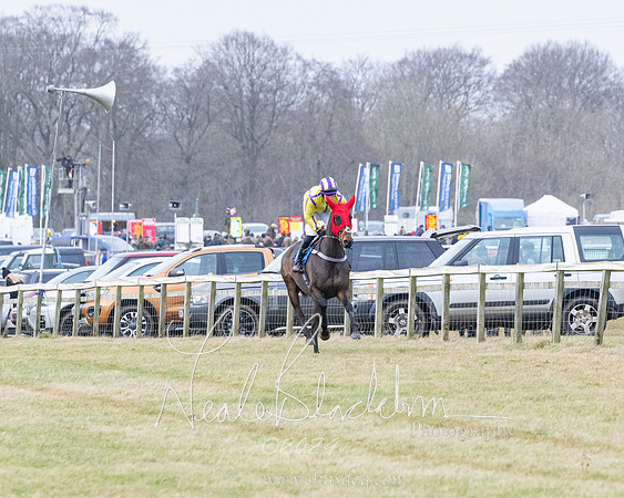 Race 7 - 7 and over Maiden (73 of 205)
